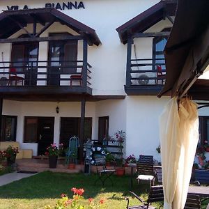 מלון Dunavăţu de Jos Vila Rianna Exterior photo