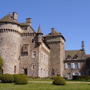 Ally Chateau De La Vigne Exterior photo