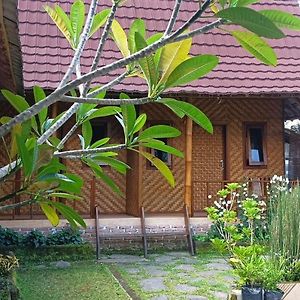 טטבאטו Mysha Guest House-Lombok Exterior photo