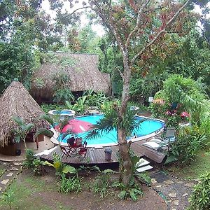 ריו דולצ'ה Hotel Hacienda Tijax Jungle Logde Exterior photo