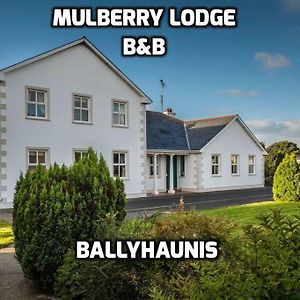 באליהוניס Mulberry Lodge Guest House Exterior photo