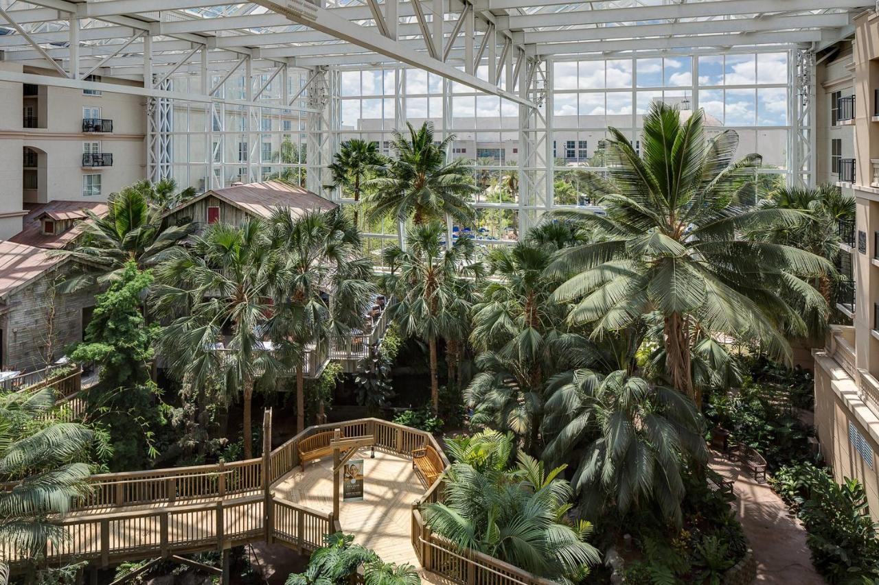 אורלנדו Gaylord Palms Resort & Convention Center מראה חיצוני תמונה