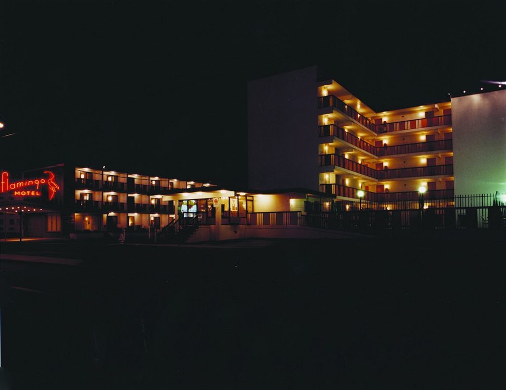 אושן סיטי Flamingo Motel מראה חיצוני תמונה