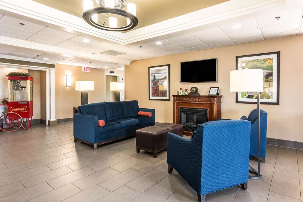 סטאונטון Comfort Inn & Suites מראה פנימי תמונה