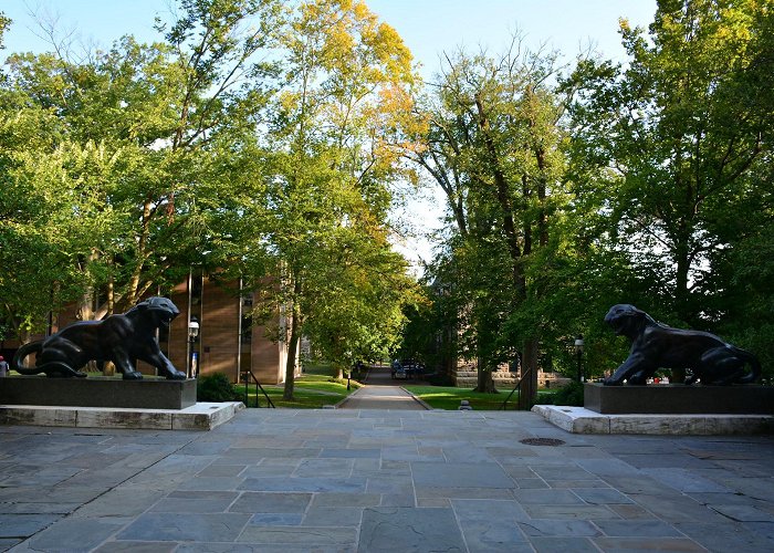 Princeton University photo