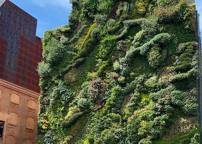 Caixa Forum Caixa Forum, Madrid | Vertical Garden Patrick Blanc photo
