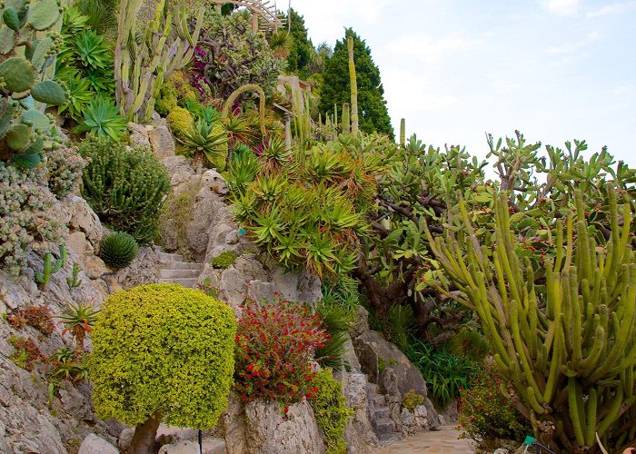 Exotic Garden of Monaco Jardin Exotique Tours - Book Now | Expedia photo