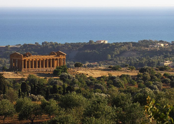 Temple of Concordia Later afternoon lighting in the archaeological park at Agrigento ... photo