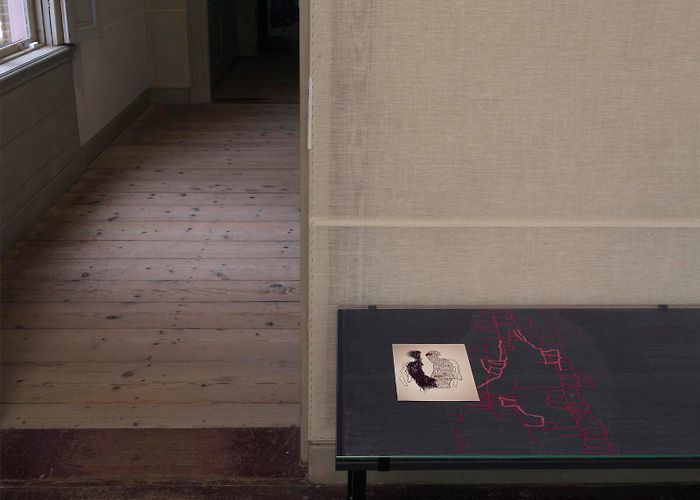 Amelisweerd Ansuya Blom: SOLO - Announcements - e-flux photo