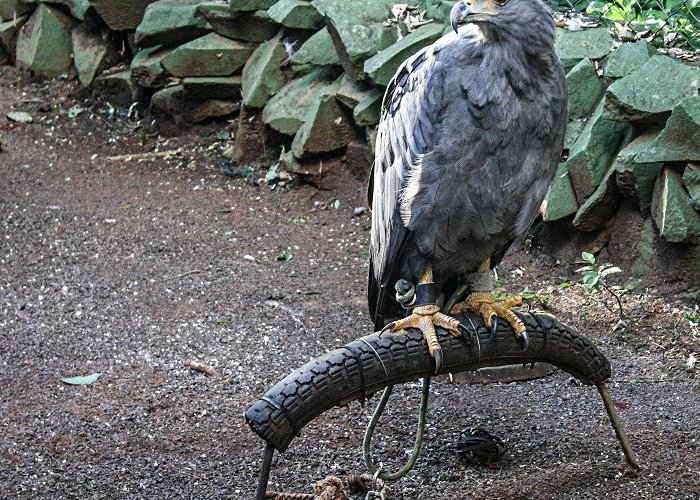 Guira Oga Zoo Visiting the Feathered Guests at Güira Oga | Stephen Travels photo