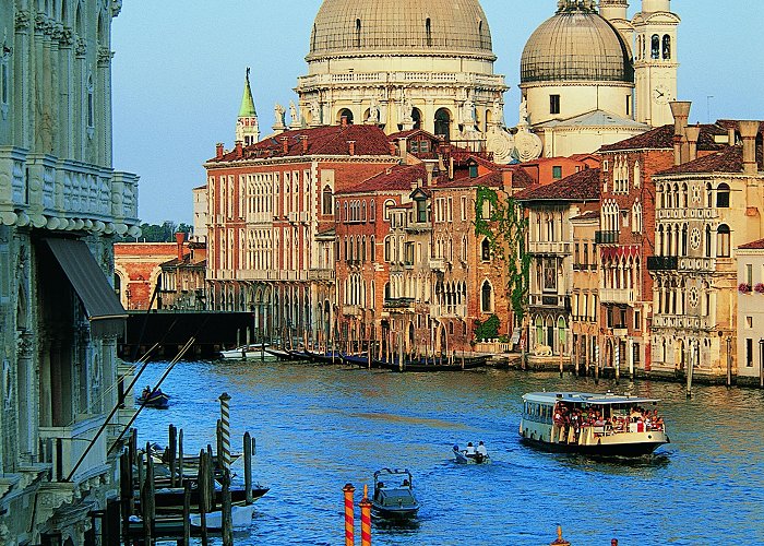 Chiesa della Salute Things to Do in Venice Lido in 2024 | Expedia photo
