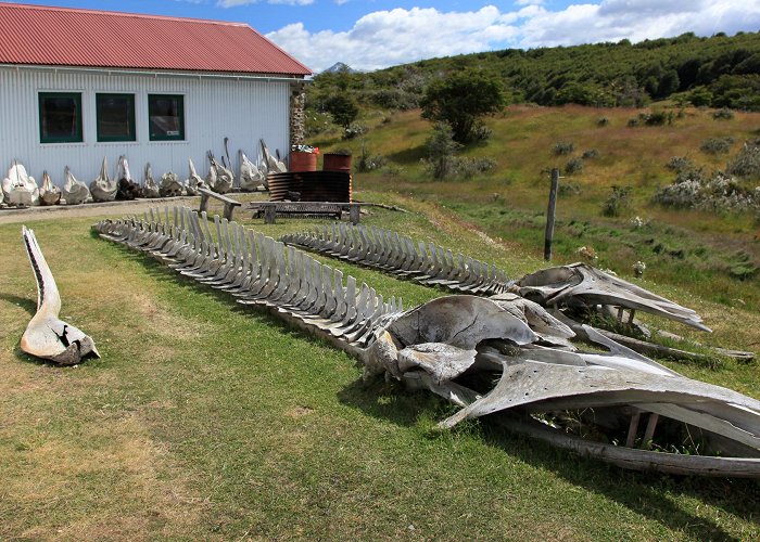 The End of the World Museum The Museum at the End of the World | Hakai Magazine photo