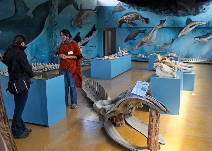 The End of the World Museum The Museum at the End of the World | Hakai Magazine photo