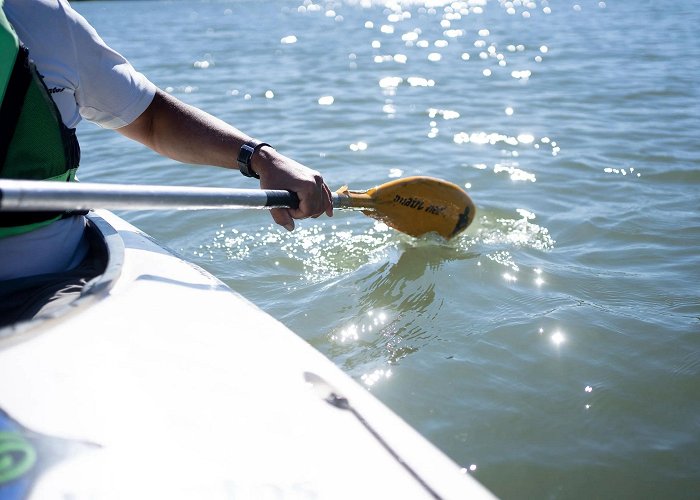 Limay River Visit Argentina - Activities - Sailing on the Limay and Neuquén rivers photo