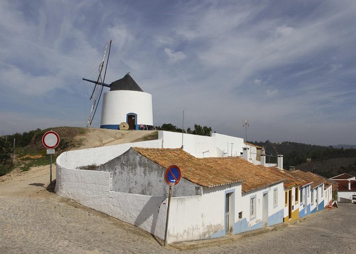 Vicentina Winery Magnificent Praia de Odeceixe – Notes from Camelid Country photo