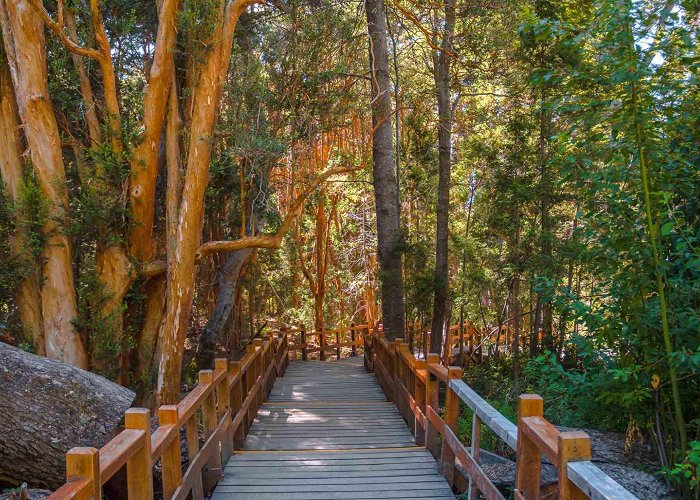 Los Arrayanes National Park La Ruta Natural | Los Arrayanes National Park photo