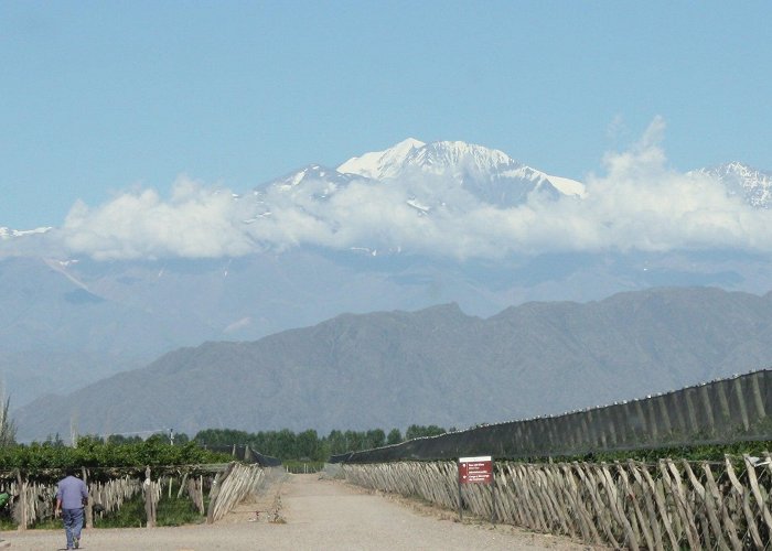 Polo Winery One Vine Wines Introduces Argentina's Bodega Polo To the US photo