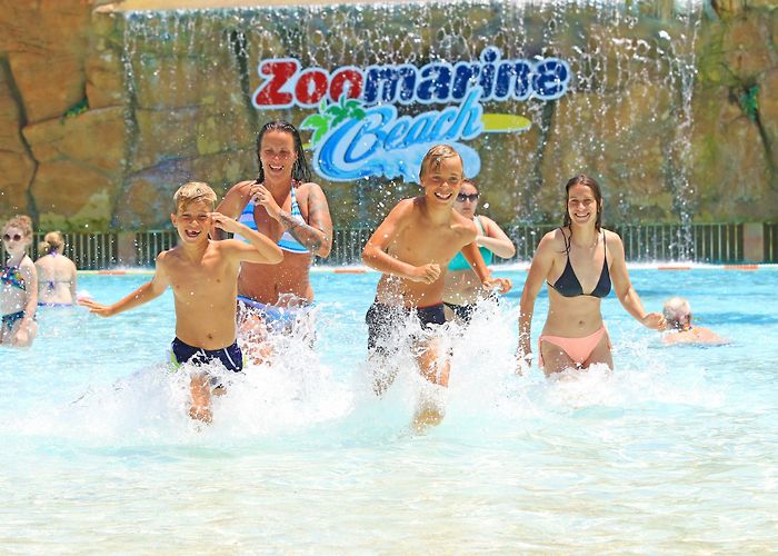 Zoomarine Attraction Park Zoomarine Algarve tickets | Guia photo