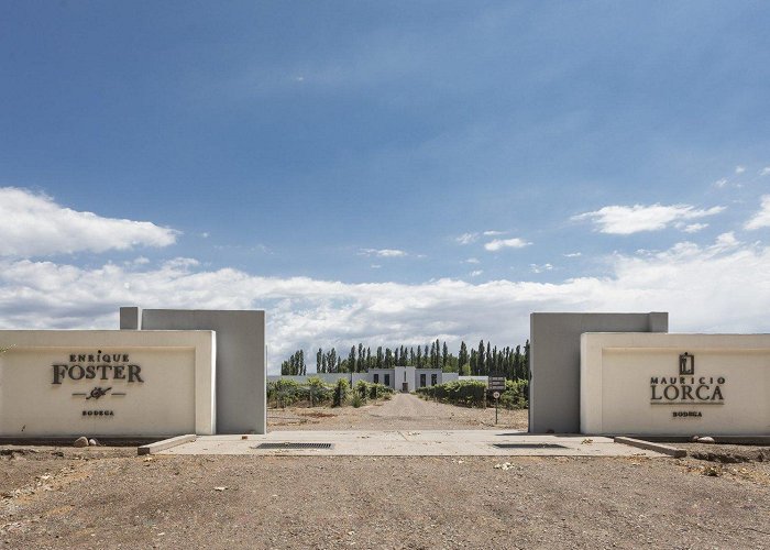 Enrique Foster Winery Enrique Foster – Dreyfus, Ashby & Co. photo