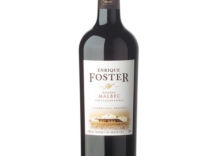 Enrique Foster Winery Enrique Foster Malbec Reserva 2014 750ml | Tequila Liquor Store photo