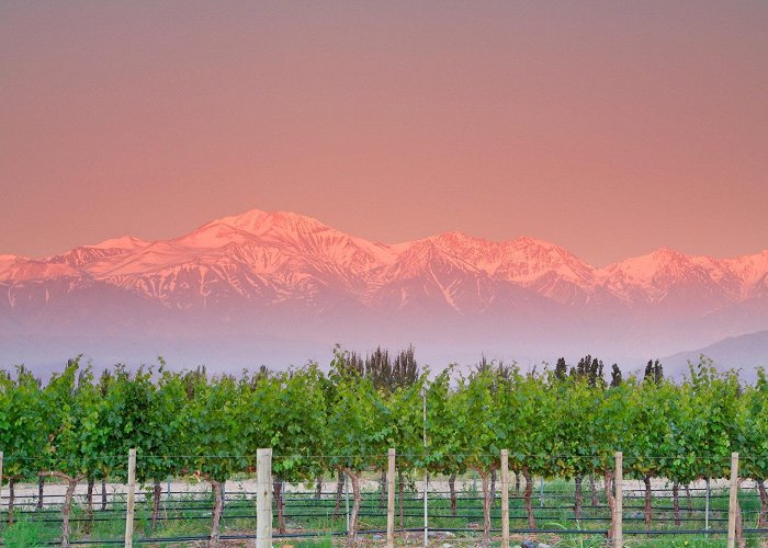 Diego Torres Winery Travel Guide to Argentina's Wine Regions | Vogue photo