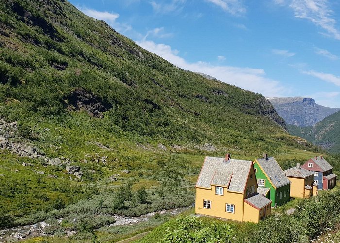 Myrdal photo