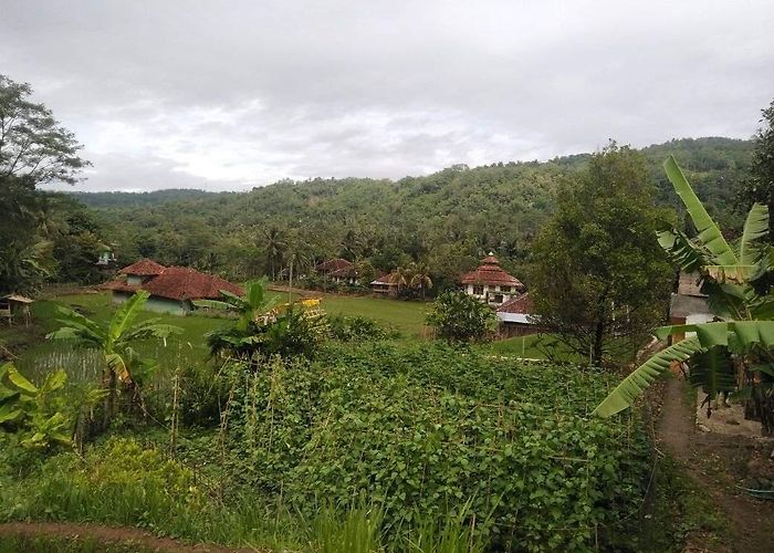 Garut photo