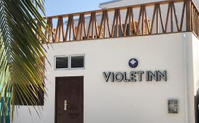 דהרבנדהו Violet Inn Hotel Exterior photo