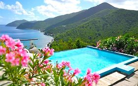 Freshwater Pond Tortola Adventure Private Villa Ocean-View Pool Exterior photo