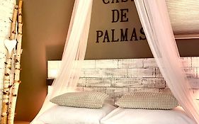 הוילה אלקמאר Casa De Palmas - Tiny House Exterior photo