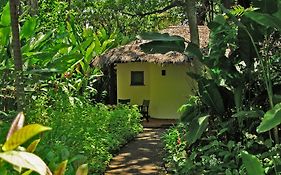 ארושה Moivaro Coffee Plantation Lodge Exterior photo