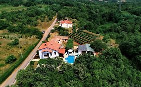 הוילה Family Friendly House With A Swimming Pool Marici, Labin - 17820 Exterior photo