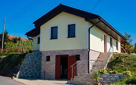 הוילה דוברובניק Vinska Klet Sersen Exterior photo