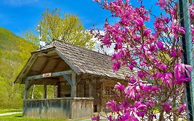 בוהין Camping Danica Cottage Stan Exterior photo