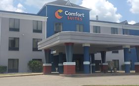 מונטגומרי Comfort Suites Airport South Exterior photo