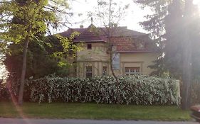 Palić Villa Ricz Exterior photo