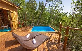 דסהייס Au Jardin Des Colibris Ecolodge&Spa Exterior photo