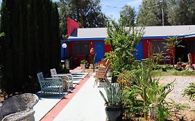 Safari Motor Inn - ג'ושואה טרי Exterior photo