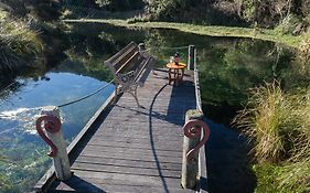 Barrytown Koru Accommodation & Hot Tub Exterior photo