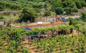 הוילה Banjol Ecological Vineyard House Exterior photo