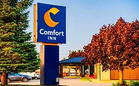 גואלף Comfort Inn Exterior photo