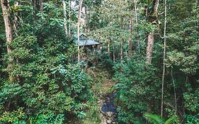 הוילה מונטוויל Narrows Escape Rainforest Retreat Exterior photo