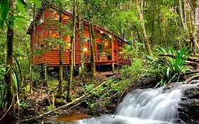 הוילה ספרינגברוק The Mouses House Rainforest Retreat Exterior photo