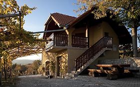 מטליקה Vineyard Cottage Brodaric Exterior photo