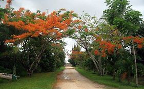 בליז סיטי Orchid Garden Eco-Village Hotel Belize Exterior photo