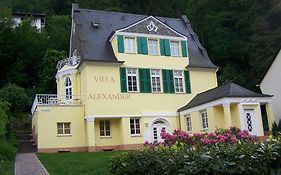 באד אמס Ferienwohnung "Villa Alexander" 4 Dtv-Sternen Neu Eroffnung Exterior photo
