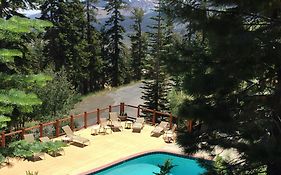 ממות' לייקס Timber Ridge Resort By 101 Great Escapes Exterior photo