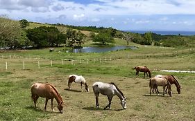 הוילה Riviere-Salee La Ferme Des Etangs Exterior photo