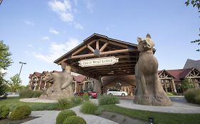 Great Wolf Lodge מייסון Exterior photo