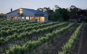 הוילה לינדוצ' Barossa Shiraz Estate Exterior photo